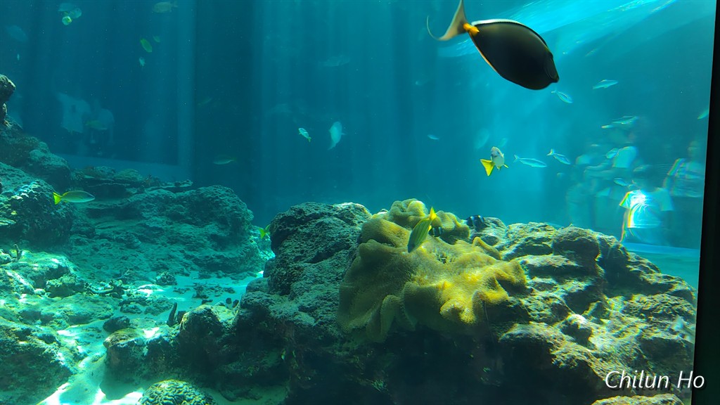 沖縄美ら海水族館